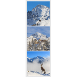 Chamois et la Dent Parrachée