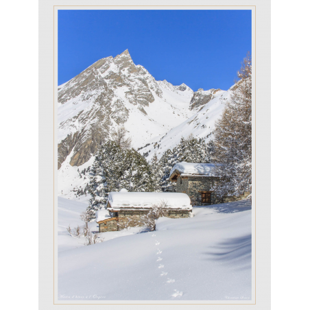 L'Aiguille Doranvuede l'Orgère