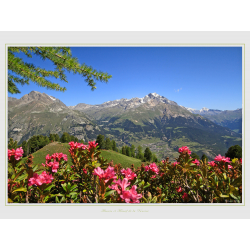 Aussois et la Dent Parrachée