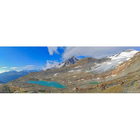 De la Dent Parrachée au Dôme de l'Arpont.