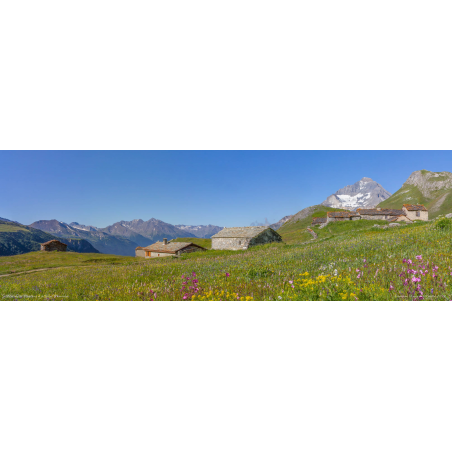 Hameau de Chavières devant la Dent Parrachée