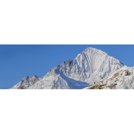 Chamois devant La Dent Parrachée