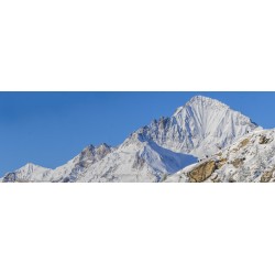 Chamois devant La Dent Parrachée